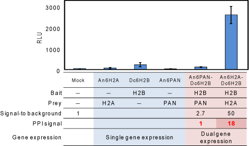 PPI interaction