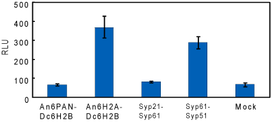 Rice results